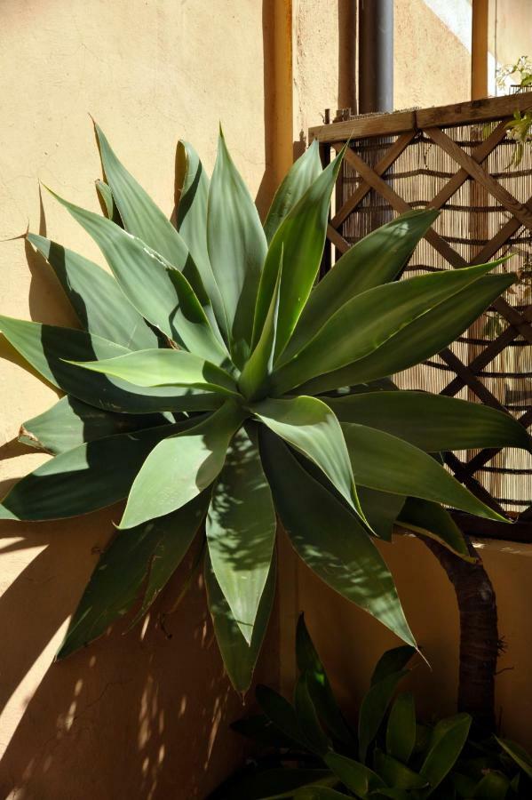 Giardino In Citta; Centralissimo Sanremo Exterior photo